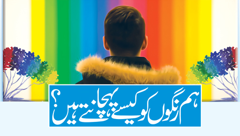 ہم رنگوں کو کیسے پہچانتے ہیں؟