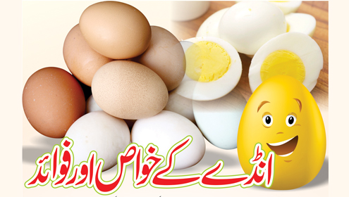 انڈ ے کے خواص اور فوائد