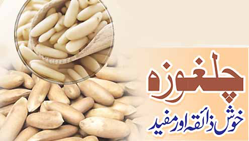 چلغوزہ:خوش ذائقہ اور مفید