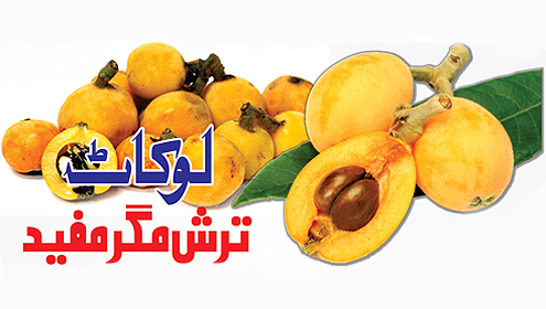 لوکاٹ :ترش مگر مفید