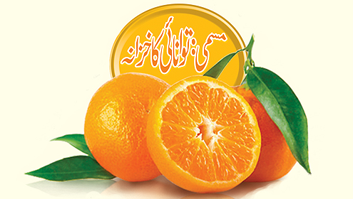 مسمی: توانائی کا خزانہ