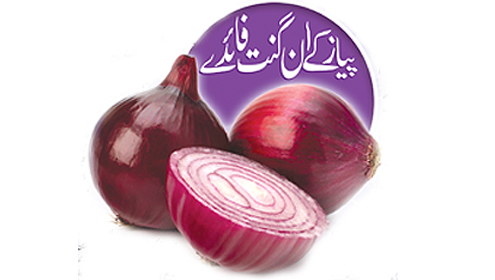 پیاز کے ان گنت فائدے