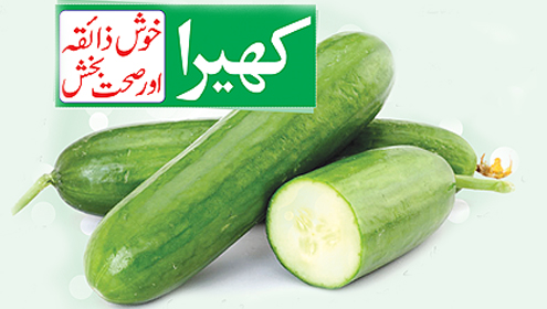 کھیرا:خوش ذائقہ اور صحت بخش