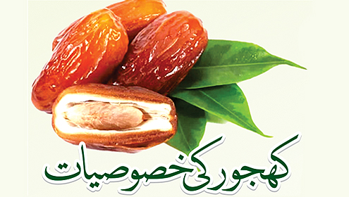 کھجور کی خصوصیات