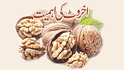 اخروٹ کی اہمیت