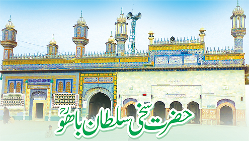 حضرت سخی سلطان باھو ؒ کے حالات زندگی 