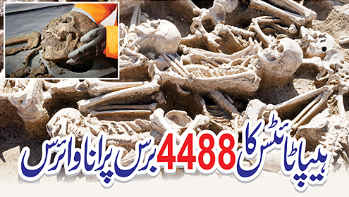 ہیپا ٹائٹس کا 4488 برس پرانا وائرس