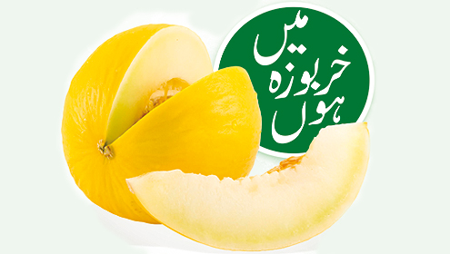 میں خربوزہ ہوں