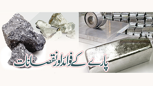 پارے کے فوائد اور نقصانات