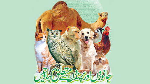 جانوروں اورپرندوں سے متعلق کہاوتیں