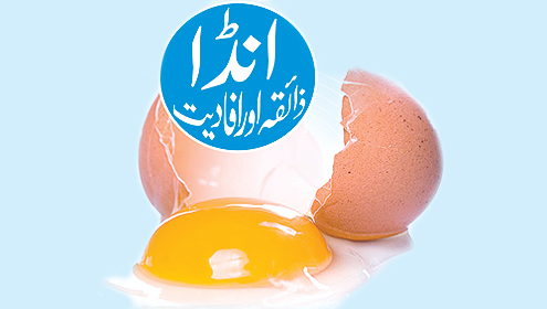 انڈا: ذائقہ اور افادیت 