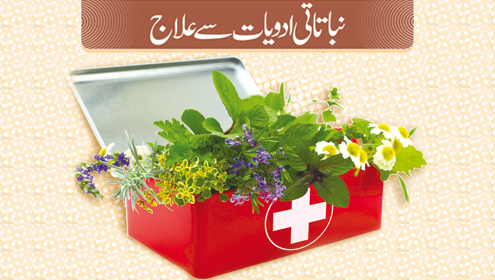 نباتاتی ادویات سے علاج   