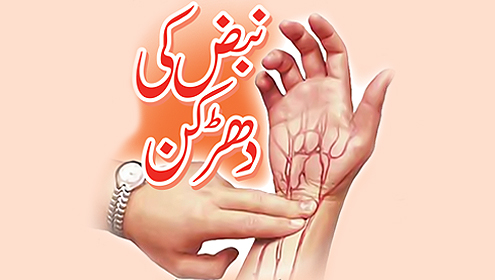 نبض کی دھڑکن