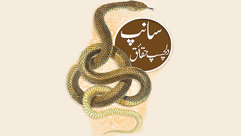 سانپ: دلچسپ حقائق