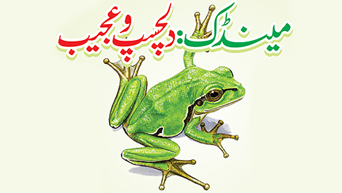 مینڈک : دلچسپ و عجیب