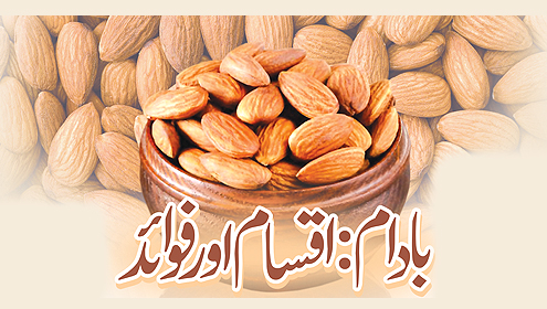 بادام : اقسام اور فوائد 
