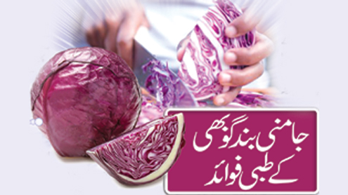 جامنی بند گوبھی کے طبی فوائد