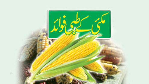 مکئی کے طبی فوائد