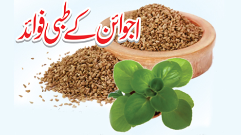 اجوائن کے طبی فوائد