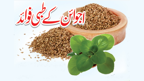 اجوائن کے طبی فوائد