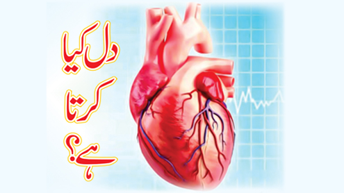 دل کیا کرتا ہے؟