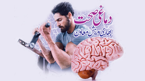 دماغی صحت بھاری ورزش معاون