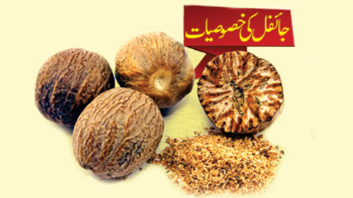 جائفل کی خصوصیات   