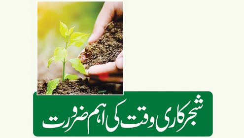 شجرکاری وقت کی اہم ضرورت 