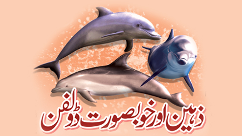 ذہین اور خوبصورت ڈولفن 