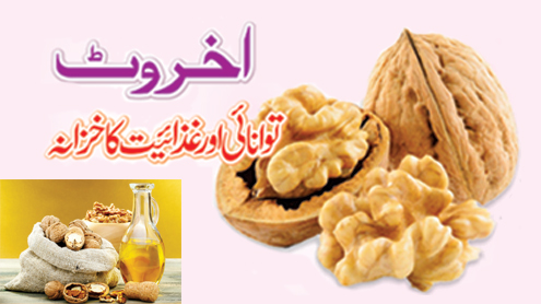 اخروٹ توانائی اور غذائیت کے خزانے
