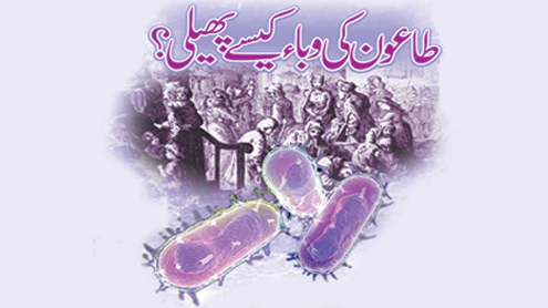 طاعون کی وباء کیسے پھیلی؟