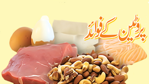 پروٹین کے فوائد 