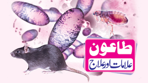 طاعون: علامات اور علاج 