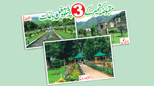 مقبوضہ کشمیر کے 3پرشکوہ مغل باغات  