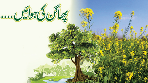 پھاگن کی ہوائیں....