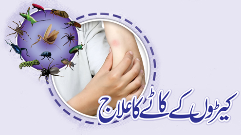 کیڑو ں کے کاٹے کا علاج
