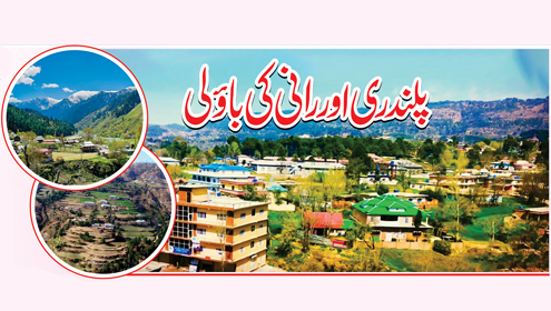 پلندری اور رانی کی باؤلی