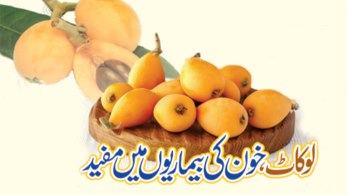 لوکاٹ ،خون کی بیماریوں میں مفید 