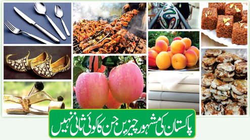 پاکستان کی مشہور چیزیں جن کا کوئی ثانی نہیں