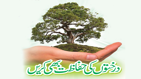درختوں کی حفاظت بھی کریں 