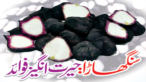 سنگھاڑا : حیرت انگیز فوائد 