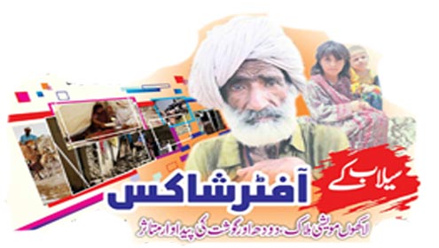 سیلاب کے آفٹر شاکس