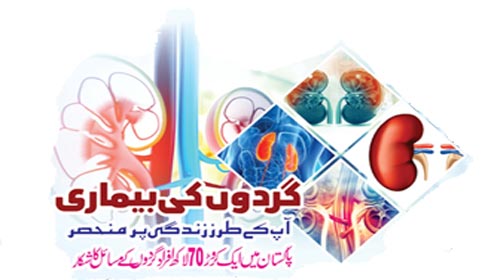 گردوں کی بیماری،آپ کے طرز زندگی پر منحصر