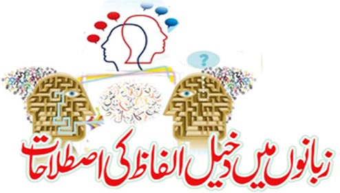 زبانوں میں دخیل الفاظ کی اصلاحات