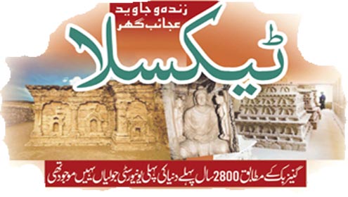 زندہ و جاوید عجائب گھر   ٹیکسلا