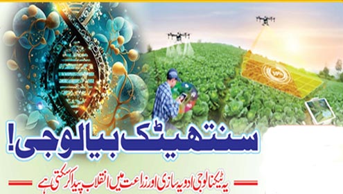 سنتھیٹک بیالوجی!