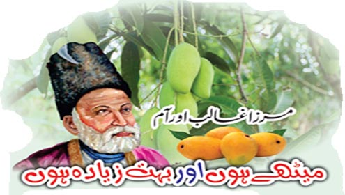 مرزا غالب اور آم۔۔ ’’میٹھے ہوں اور بہت زیادہ ہوں‘‘