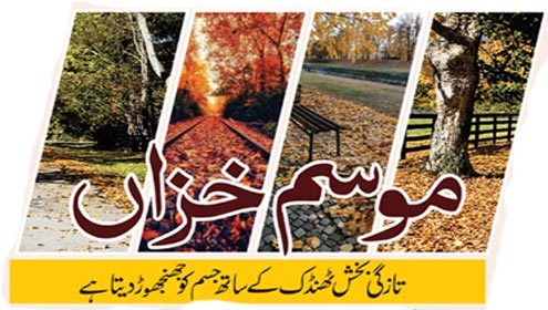 موسم خزاں  تازگی بخش ٹھنڈک کے ساتھ جسم کو جھنجھوڑدیتا ہے