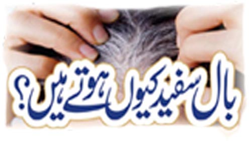 بال سفید کیوں ہوتے ہیں؟