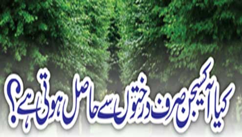کیا آکسیجن صرف درختوں سے حاصل ہوتی ہے؟